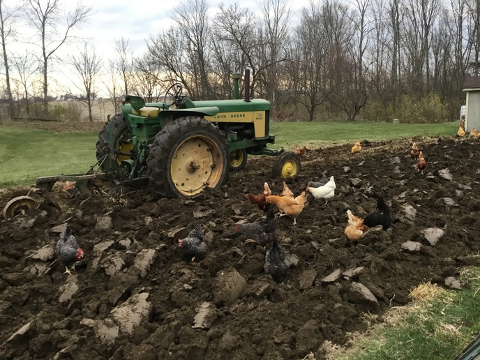 Help Plowing The Garden Yesterdays Tractors