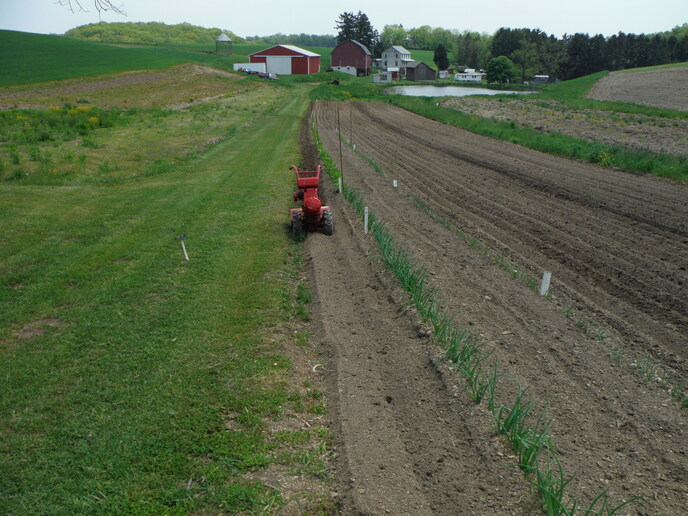 How to adjust cultivator Yesterday's Tractors