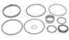 Ford 6000 Cylinder Seal Kit, For 3 inch Cylinders