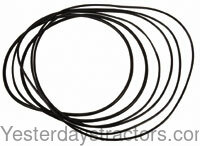 Farmall 674 Brake O-Ring Kit 539535R91