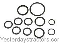 Ford 2000 Hydraulic Valve O-Ring Kit DHPN485A